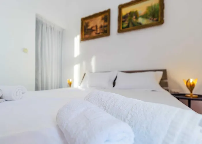 Timeless In A Historic Landmark Timisoara