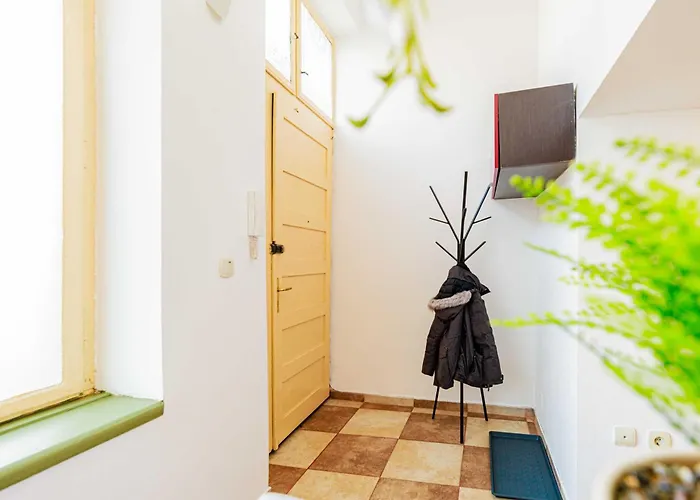 Timeless In A Historic Landmark * Timisoara